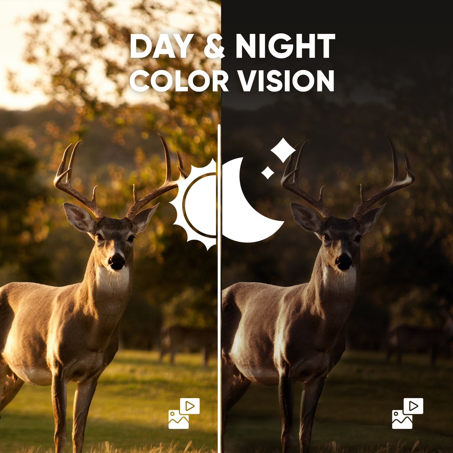Verranox Day & Night Vision
